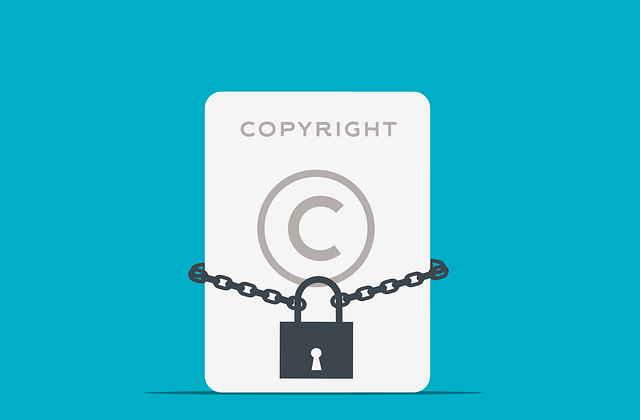 Quels sont les droits de propriété intellectuelle ?