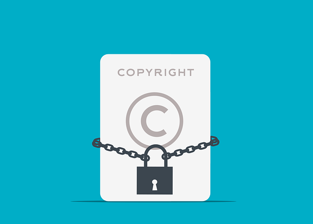 Quels sont les droits de propriété intellectuelle ?